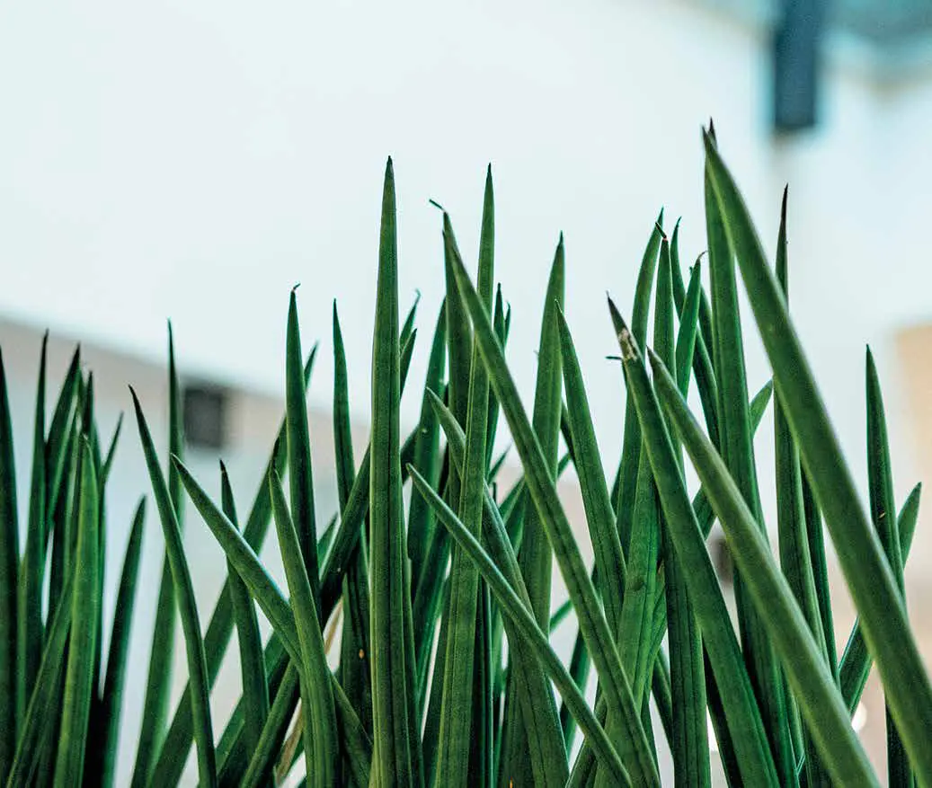 Understanding, feasibility, prototyping, co-engineering, manufacturing and sustainability: our six-stage method for every homeware programme we deliver. -2